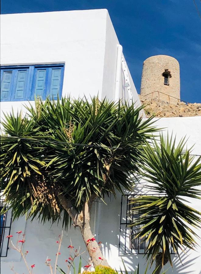 Villa Damajuana Níjar Exterior foto
